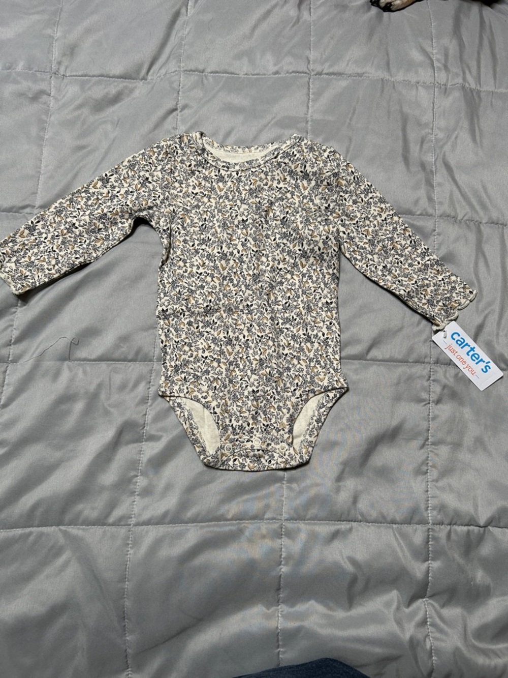 Carter's Long-Sleeve Floral Baby One-Piece in Cream and Gray